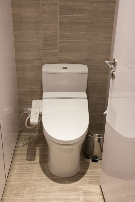 Smart Toilet Systems